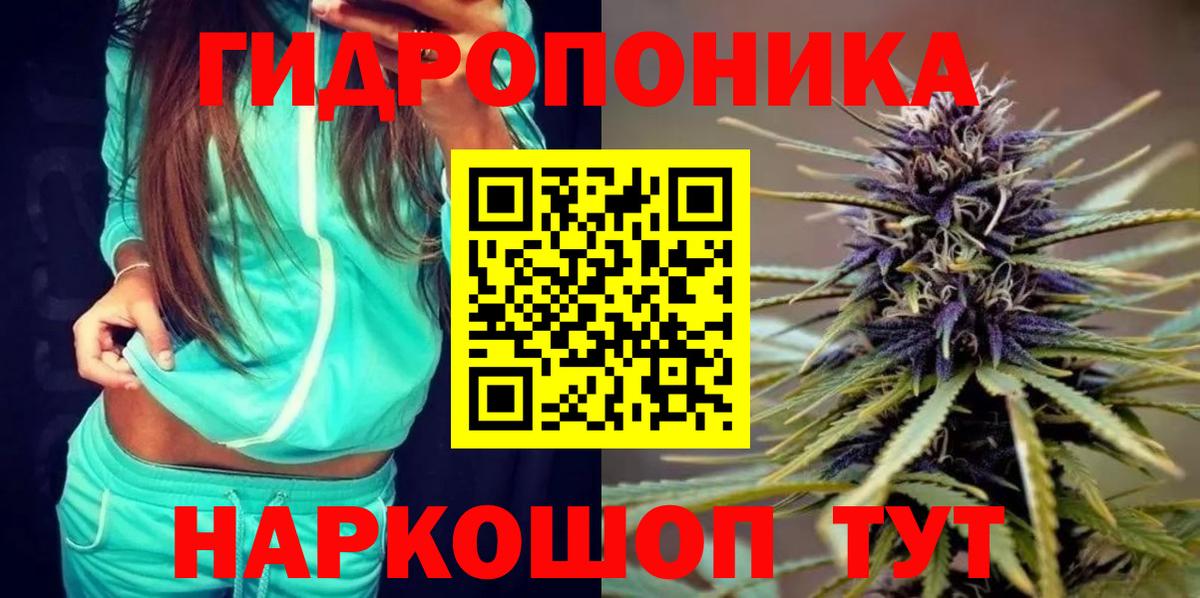Хасавюрт  Конопля Ganja  Шишки марихуана семена  Канабис VHQ  Вход с VPN  Конопля Amnesia 
